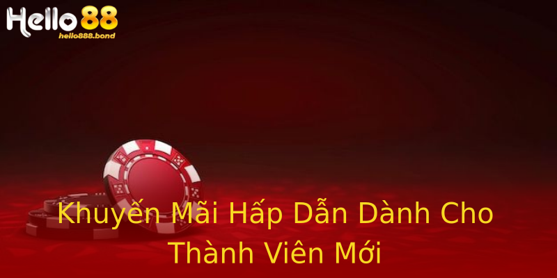 Khuyến Mãi Hấp Dẫn Dành Cho Thành Viên Mới Khuyến Mãi Hấp Dẫn Dành Cho Thành Viên Mới